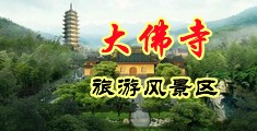 胡桃被大鸡巴操中国浙江-新昌大佛寺旅游风景区